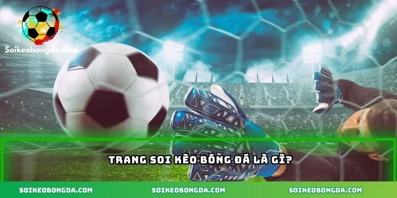 Trang soi kèo bóng đá là nền tảng uy tín và chất lượng