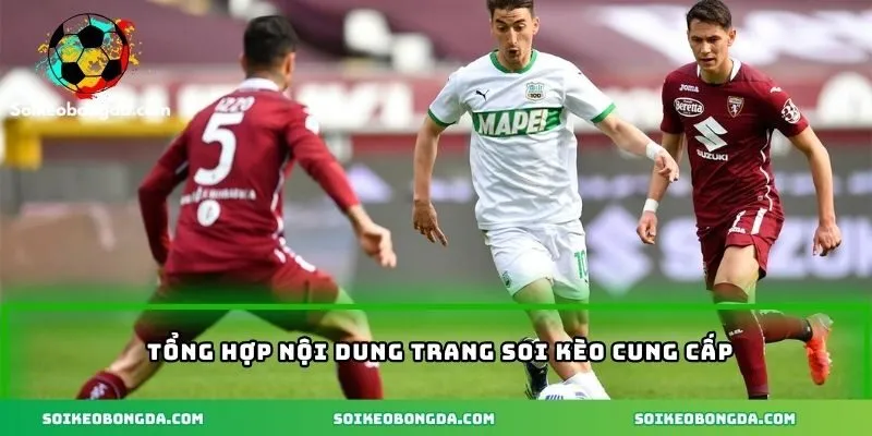 3 nội dung được cung cấp tại trang soi kèo