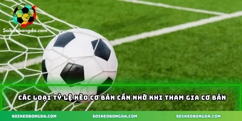 4 dạng tỷ lệ cược cơ bản thường gặp