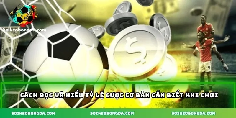 Hướng dẫn đọc tỷ lệ cược chuẩn