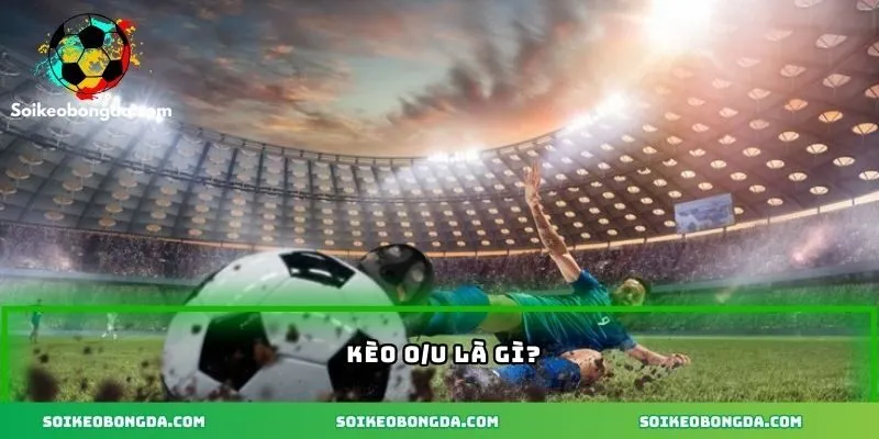 Tổng quan kèo O/U