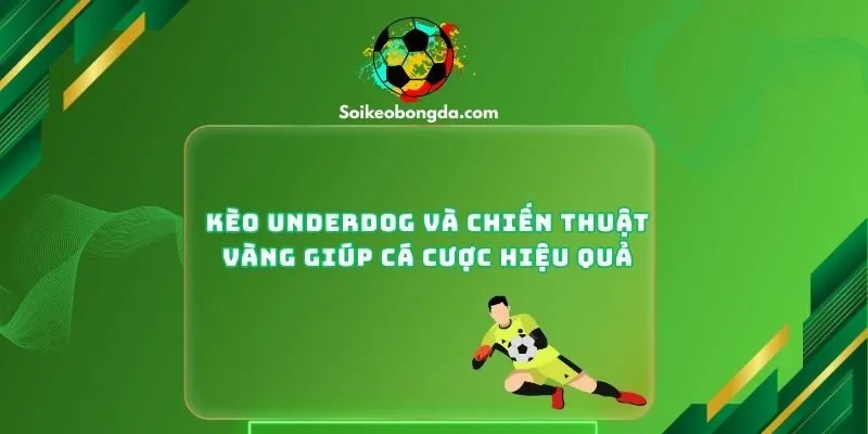 Kèo Underdog