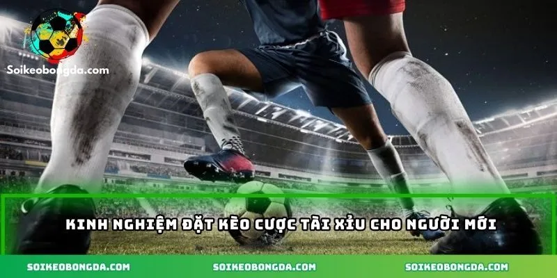 Những kinh nghiệm hay đặt kèo cược tài xỉu