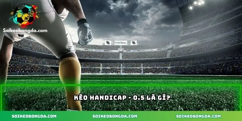 Tổng quan kèo handicap - 0.5