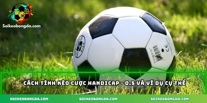 Chi tiết cách tính kèo cược handicap - 0.5
