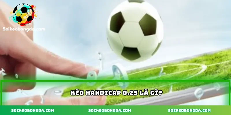 Tìm hiểu kèo handicap 0.25