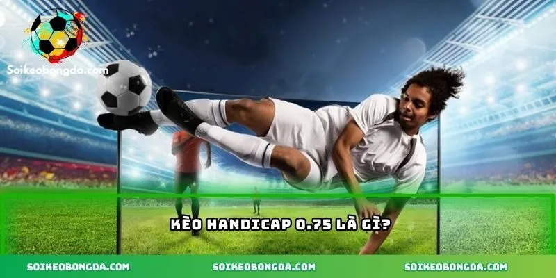 Tổng quan kèo handicap 0.75