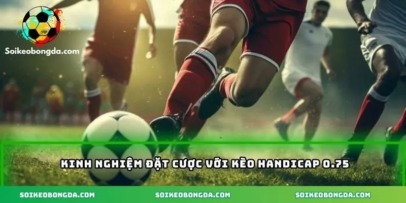 Kinh nghiệm vàng đặt cược với kèo handicap