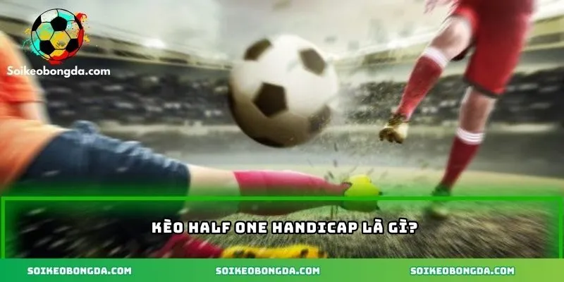 Khái quát kèo half one handicap