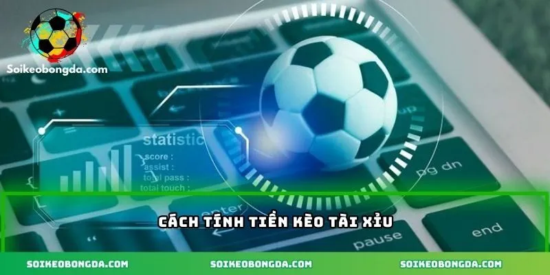 Ví dụ cụ thể về cách tính tiền kèo chuẩn xác