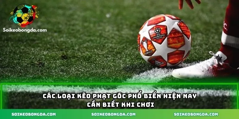 4 loại hình kèo phạt góc thường gặp khi chơi
