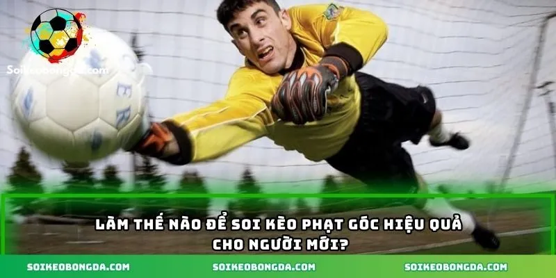 Cách soi kèo phạt góc hiệu quả nên áp dụng