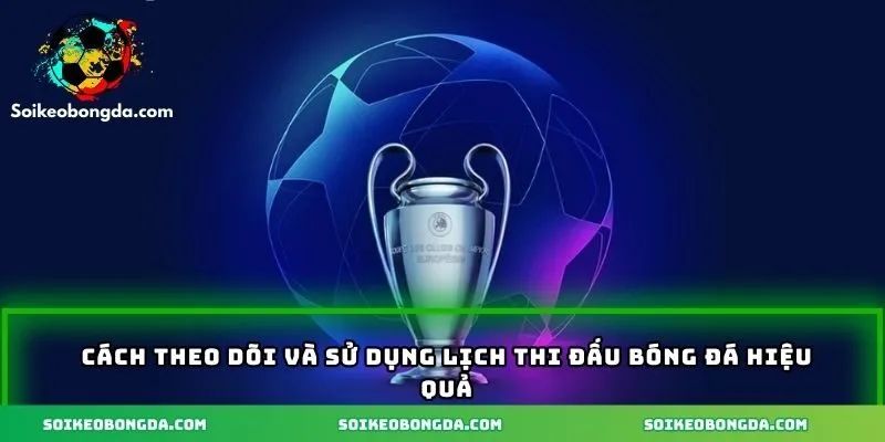 Cách theo dõi và sử dụng lịch hiệu quả khi cá cược