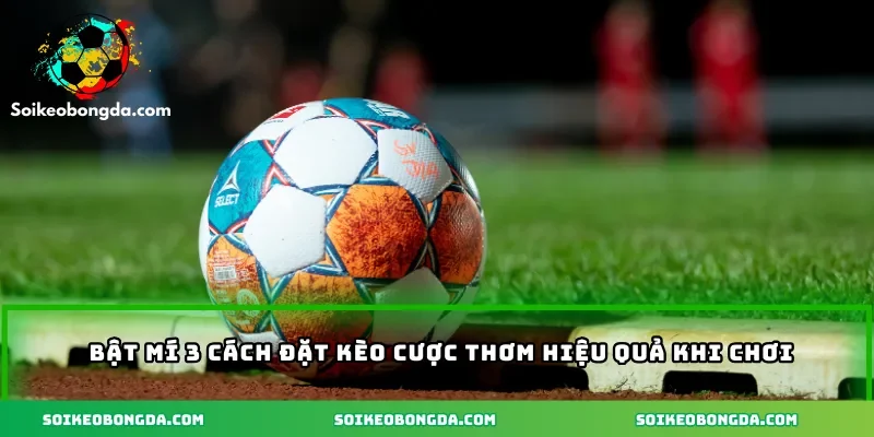 Bật mí 3 cách đặt kèo cược thơm hiệu quả khi chơi