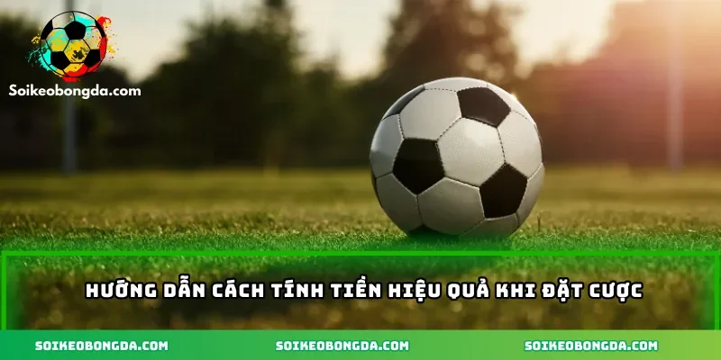 Hướng dẫn cách tính tiền hiệu quả khi đặt cược