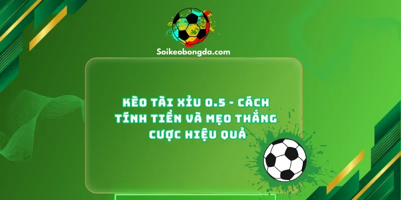 Kèo tài xỉu 0.5
