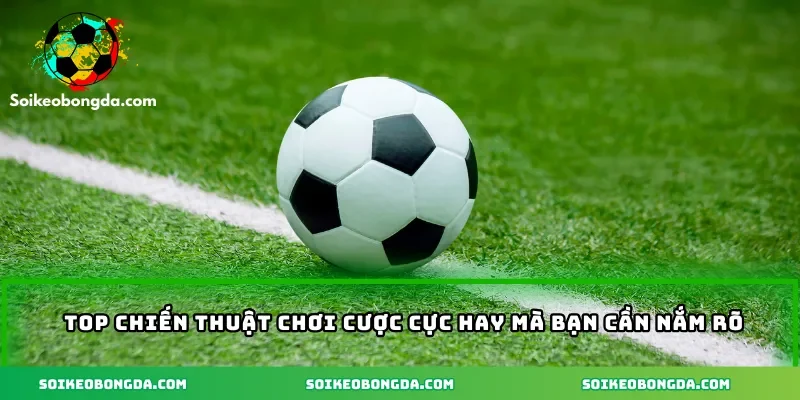 Top chiến thuật chơi cược cực hay mà bạn cần nắm rõ