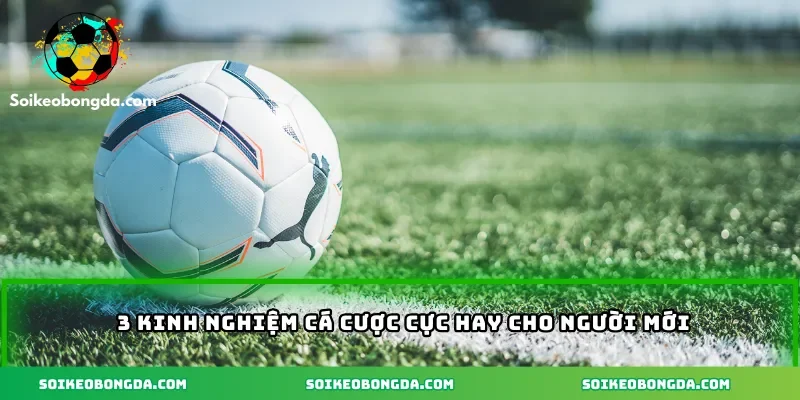 3 kinh nghiệm cá cược cực hay cho người mới