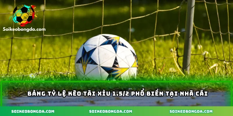 Bảng tỷ lệ kèo tài xỉu 1.5/2 phổ biến tại nhà cái