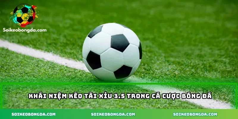 Khái niệm Kèo tài xỉu 3.5 trong cá cược bóng đá