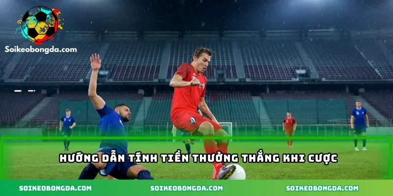 Hướng dẫn tính tiền thưởng thắng khi cược