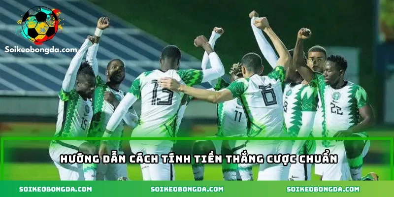 Hướng dẫn cách tính tiền thắng cược chuẩn