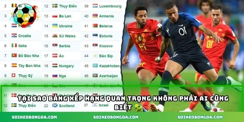 Hiểu rõ 3 lý do BXH quan trọng khi cá cược
