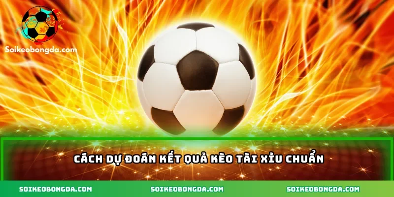 Cách dự đoán kết quả kèo tài xỉu chuẩn