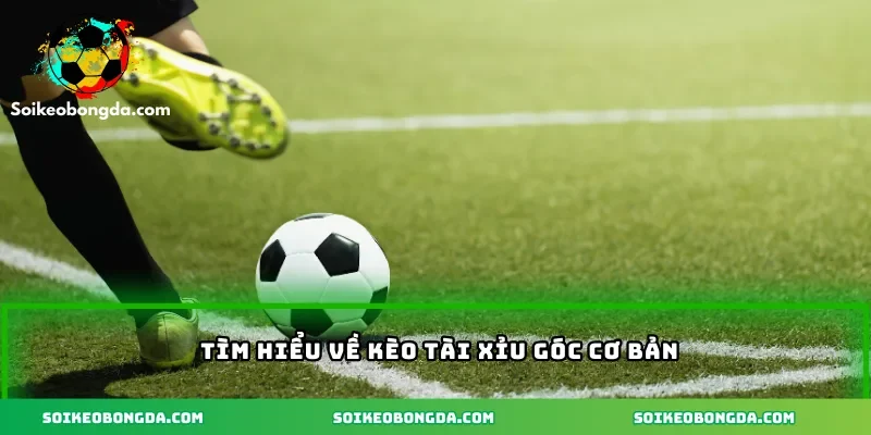 Tìm hiểu về kèo tài xỉu góc cơ bản