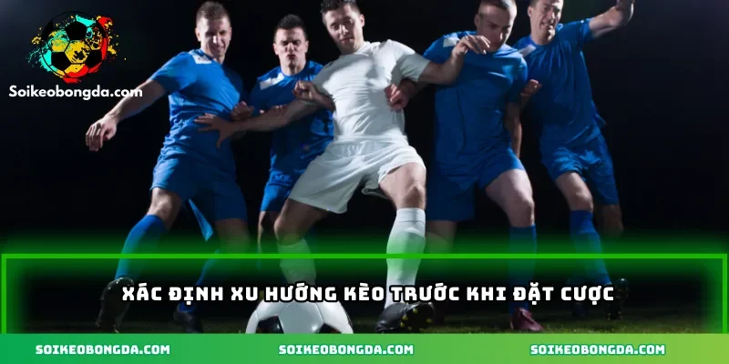 Xác định xu hướng kèo trước khi đặt cược