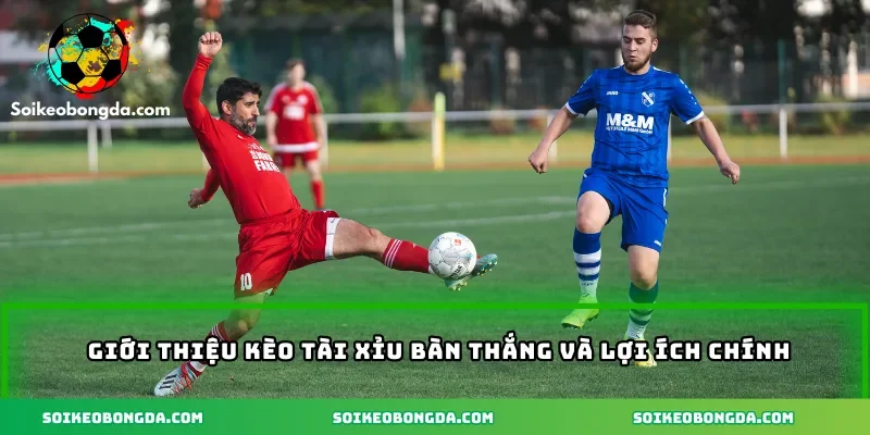 Giới thiệu kèo tài xỉu bàn thắng và lợi ích chính