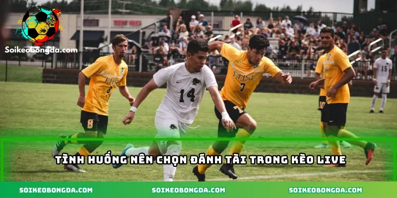 Tình huống nên chọn đánh tài trong kèo live