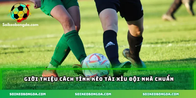 Giới thiệu cách tính kèo tài xỉu đội nhà chuẩn