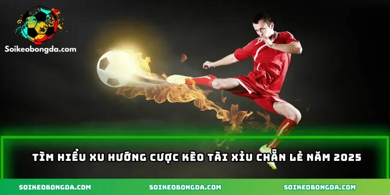 Tìm hiểu xu hướng cược kèo tài xỉu chẵn lẻ năm 2025