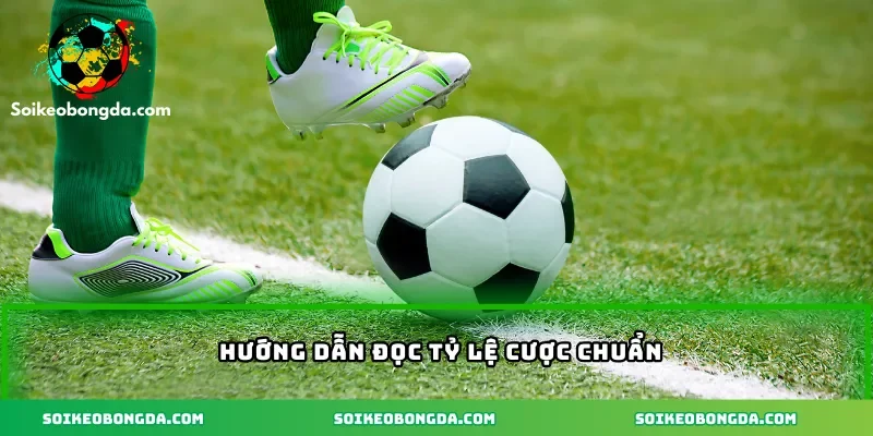 Hướng dẫn đọc tỷ lệ cược chuẩn