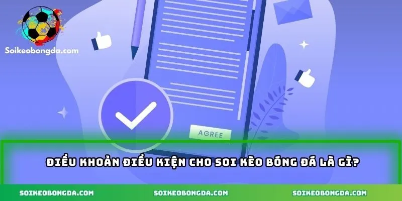 Hiểu rõ về khái niệm Điều khoản điều kiện cần nhớ