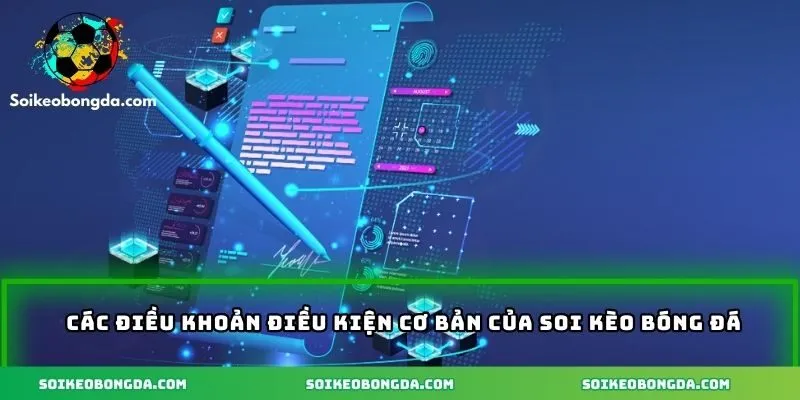 Những quy định cơ bản của điều khoản điều kiện cần biết