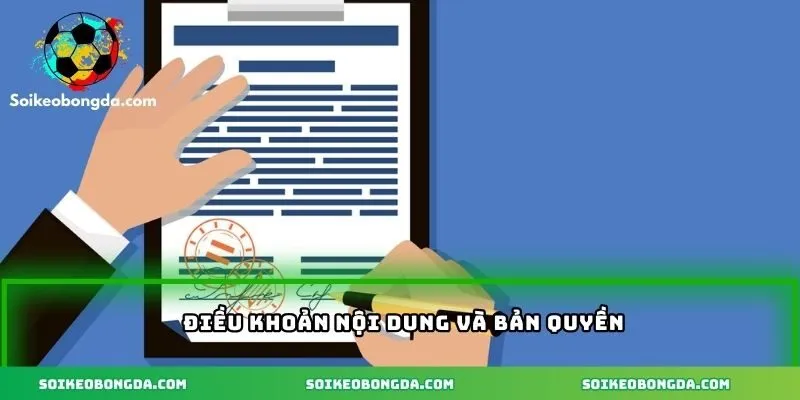 Các điều khoản liên quan đến chính sách bản quyền