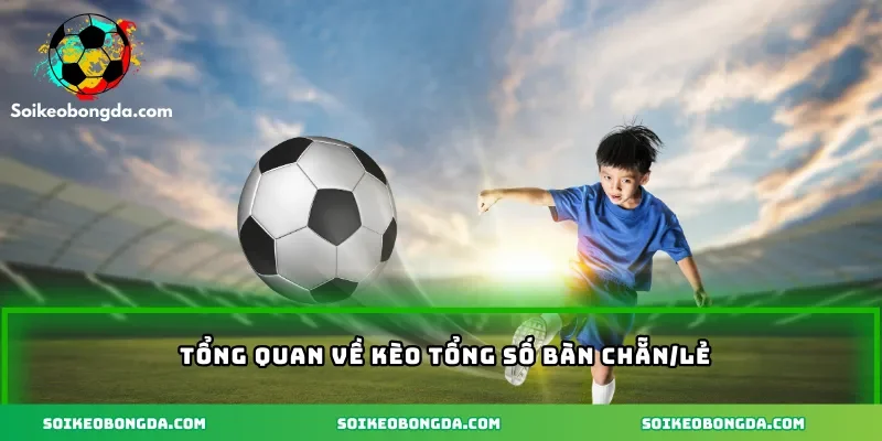 Tổng quan về kèo tổng số bàn chẵn/lẻ