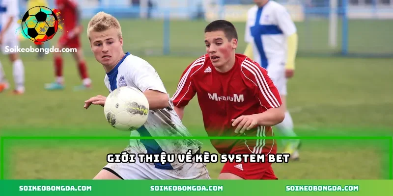 Giới thiệu về kèo System Bet