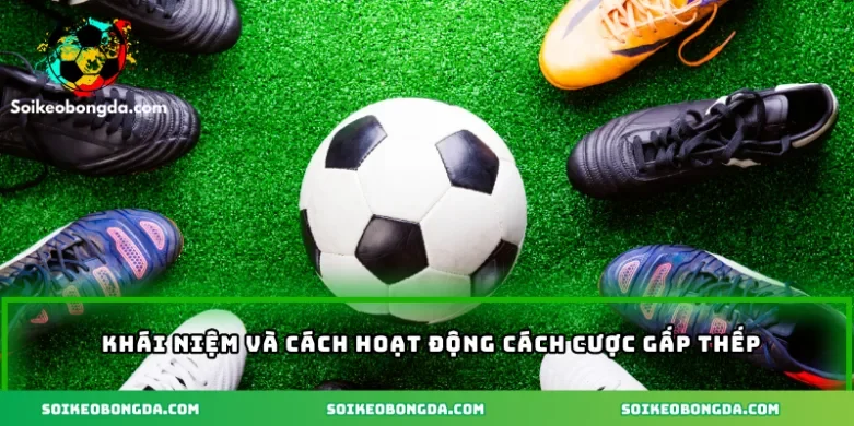 Khái niệm và cách hoạt động cách cược gấp thếp