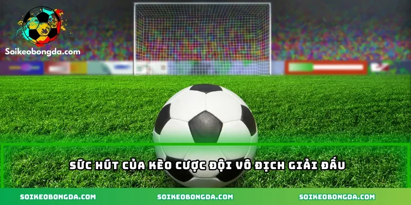 Sức hút của kèo cược đội vô địch giải đấu