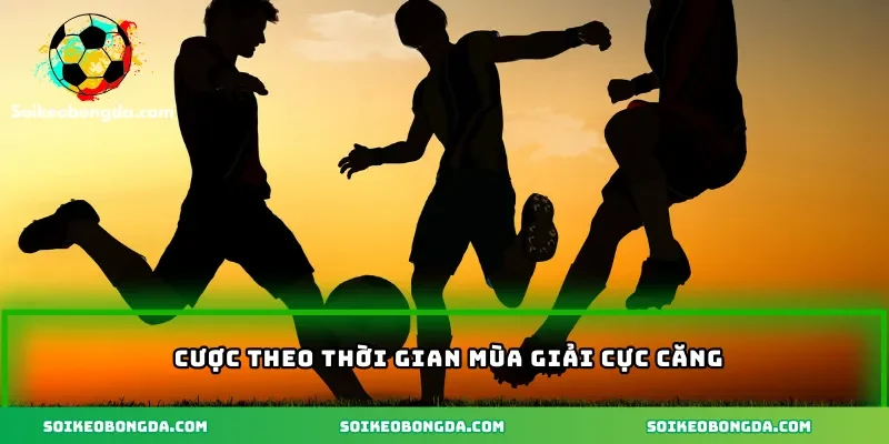 Cược theo thời gian mùa giải cực căng