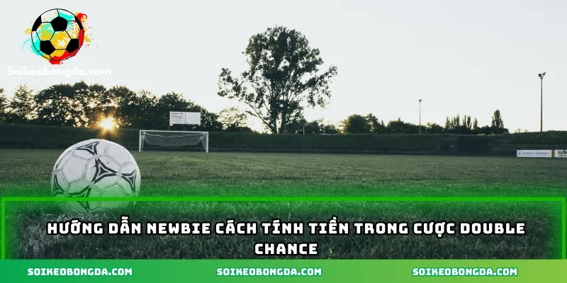 Hướng dẫn newbie cách tính tiền trong cược double chance