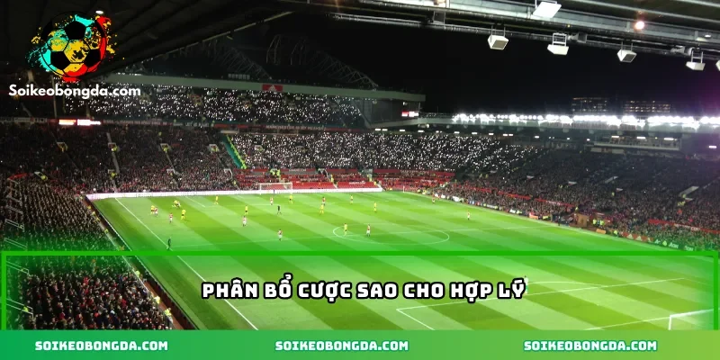 Phân bổ cược sao cho hợp lý