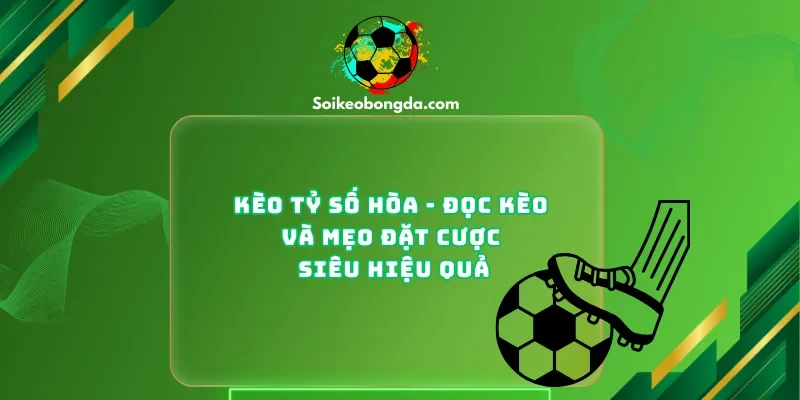 keo-ty-so-hoa-doc-keo-va-meo-dat-cuoc-sieu-hieu-qua