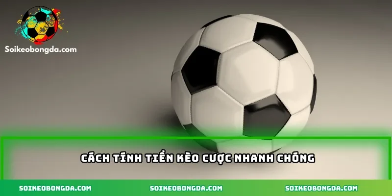 Cách tính tiền kèo cược nhanh chóng