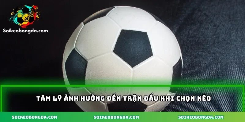Tâm lý ảnh hưởng đến trận đấu khi chọn kèo