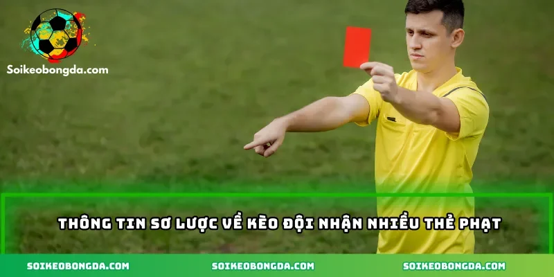 Thông tin sơ lược về kèo đội nhận nhiều thẻ phạt