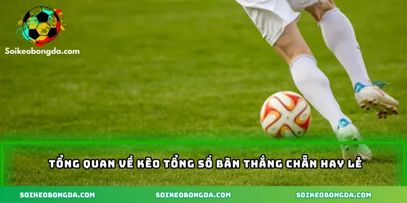 Tổng quan về kèo tổng số bàn thắng chẵn hay lẻ